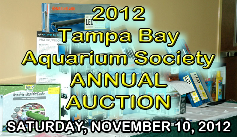 TBAS AUCTION LOGO